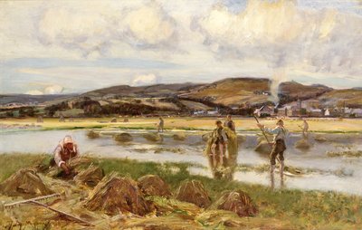Les ramasseurs de roseaux - David Murray